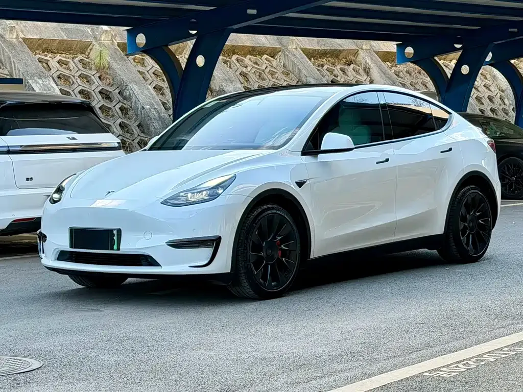 Tesla Model Y — фото 1
