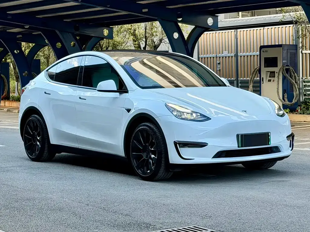 Tesla Model Y — фото 5