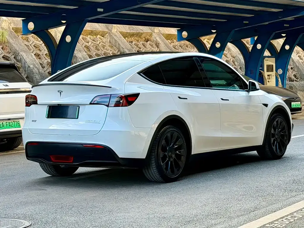 Tesla Model Y — фото 4