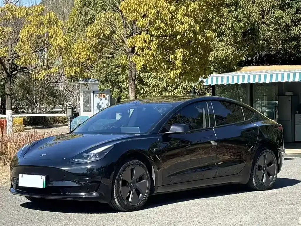 Tesla Model 3 — фото 1