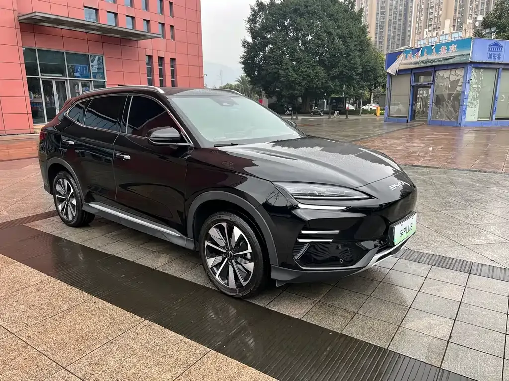 BYD PLUS New Energy — фото 7