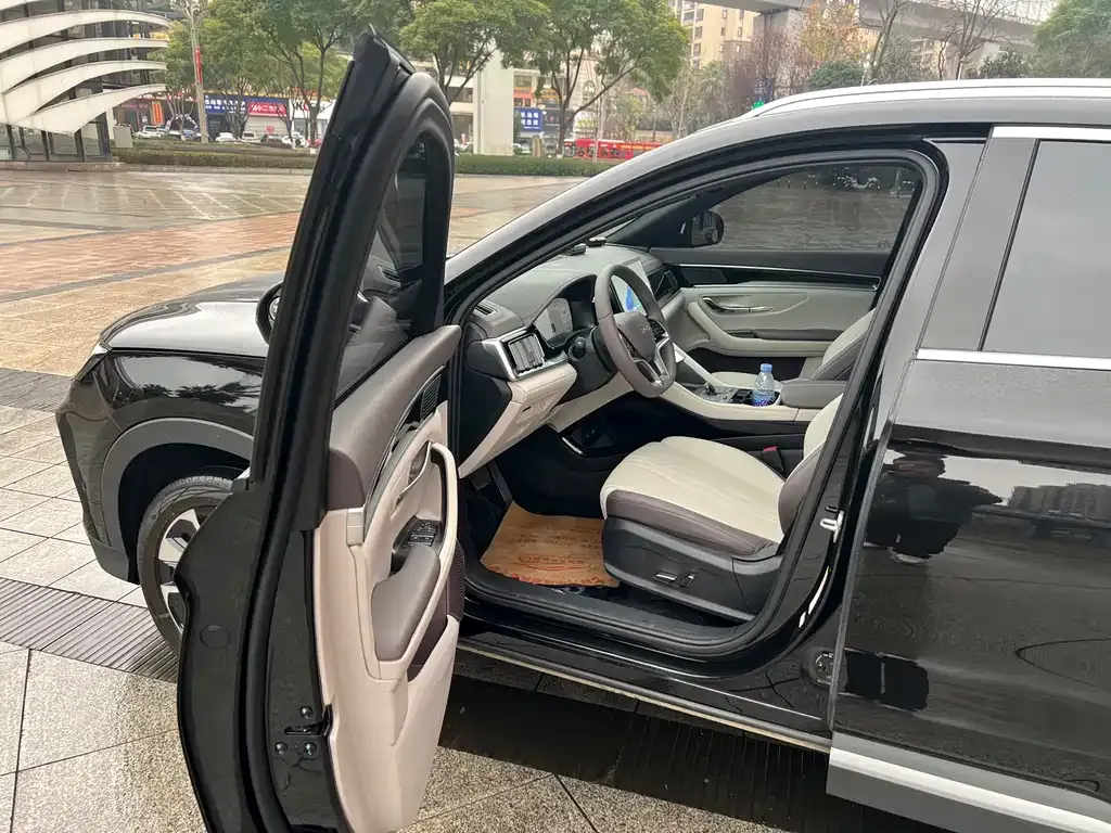 BYD PLUS New Energy — фото 3