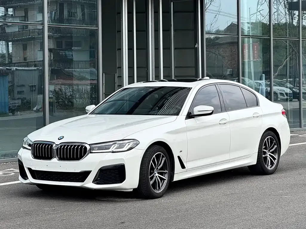 BMW 5 Series (Import) — фото 1