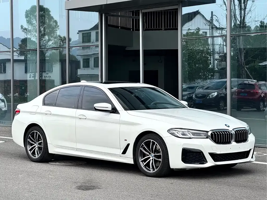 BMW 5 Series (Import) — фото 8