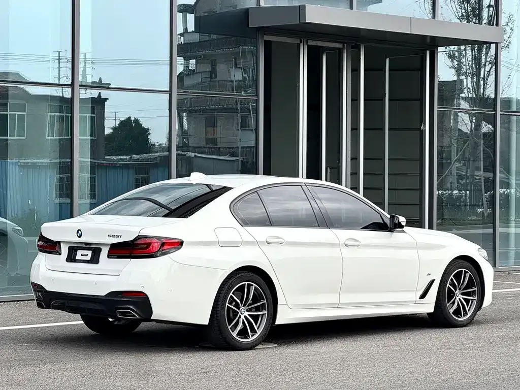 BMW 5 Series (Import) — фото 10