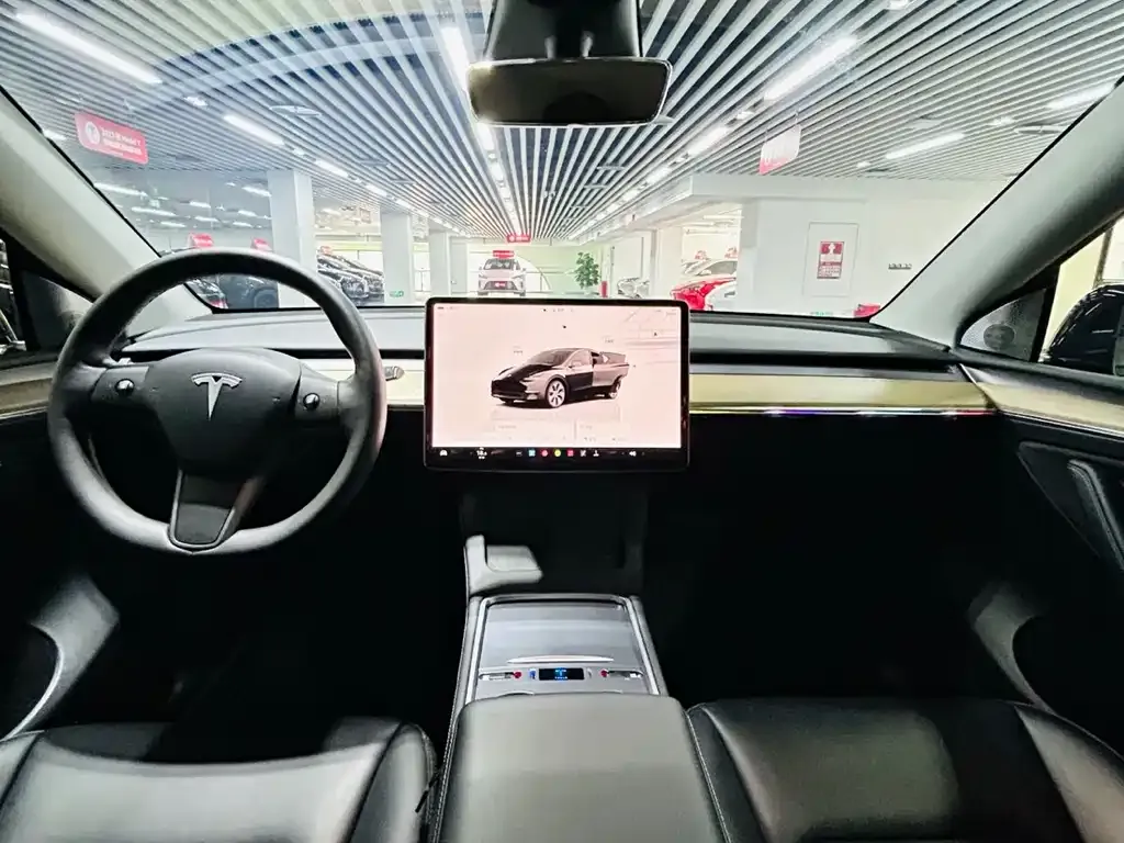 Tesla Model Y — фото 8