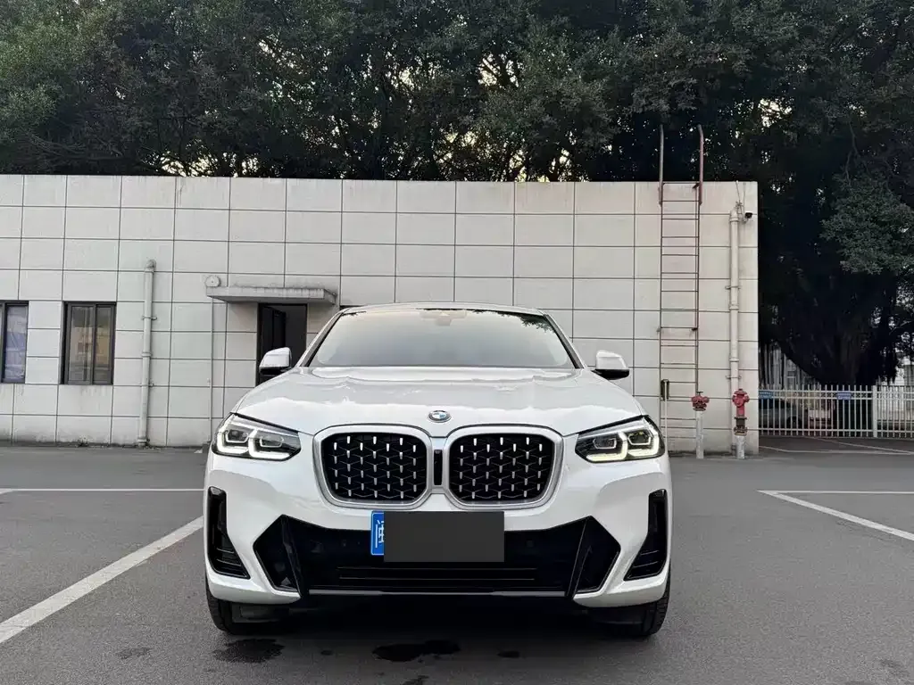 BMW X4 — фото 9