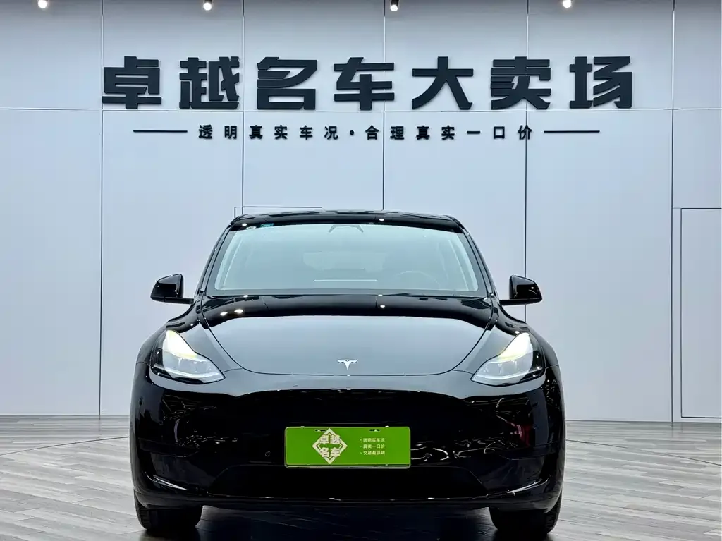 Tesla Model Y — фото 2