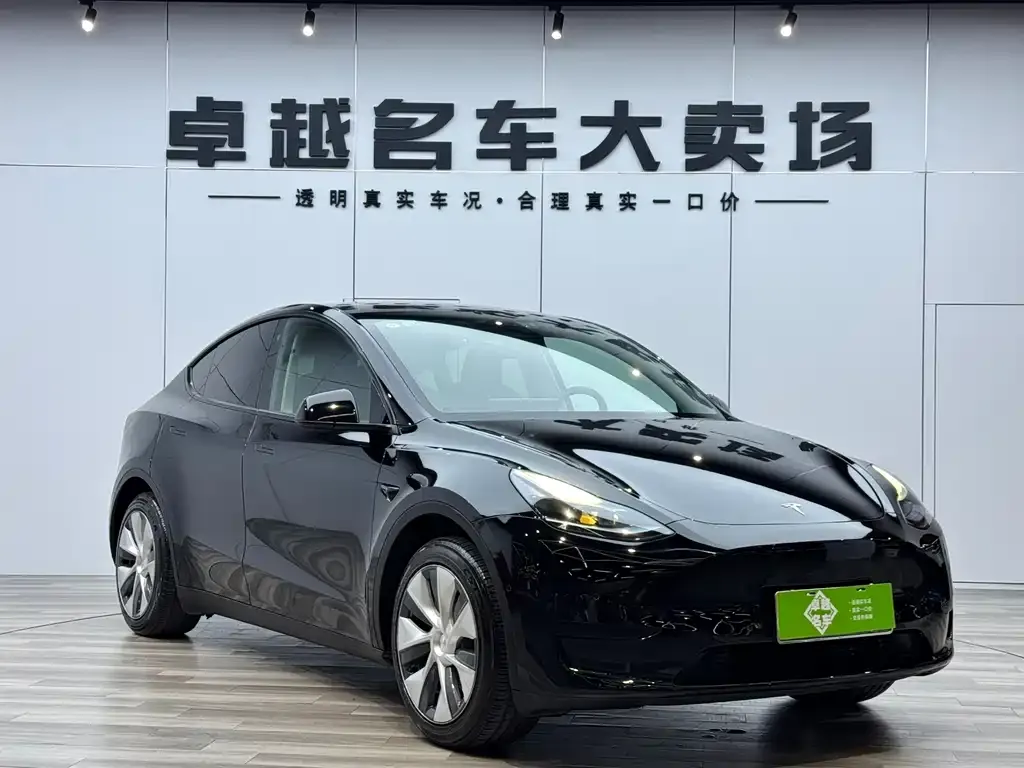 Tesla Model Y — фото 10