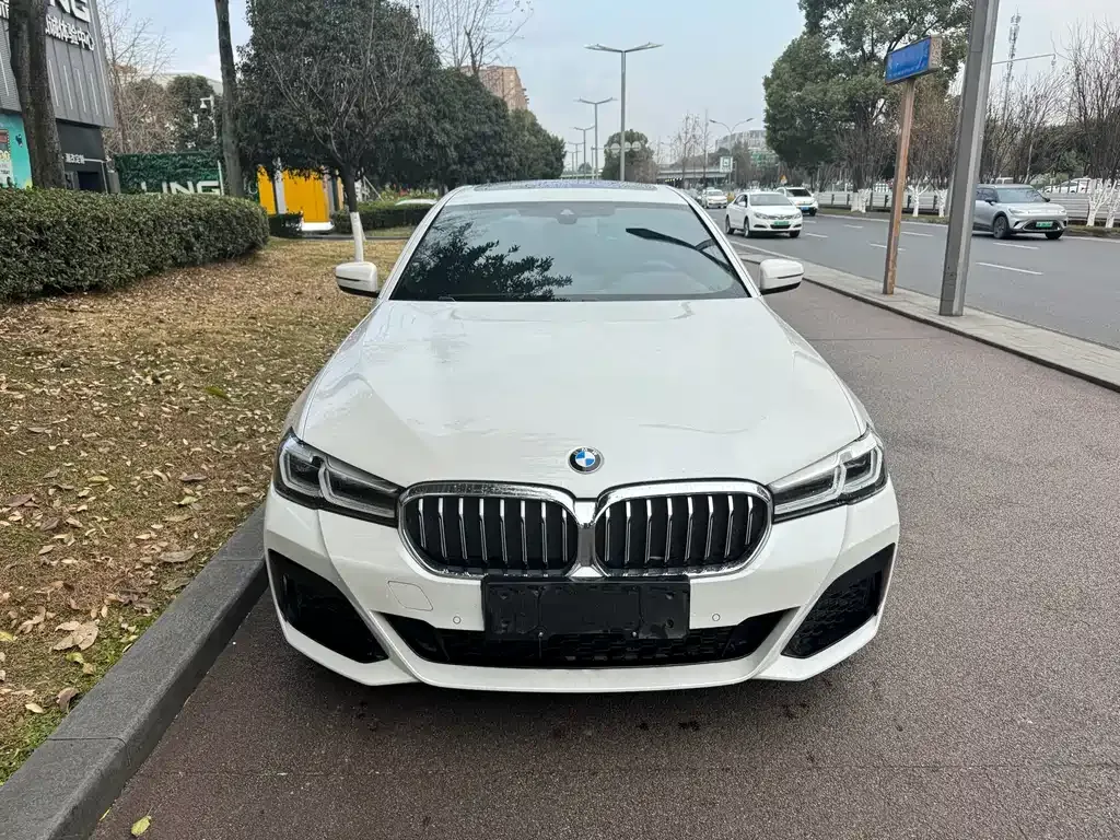 BMW 5 Series New Energy — фото 9