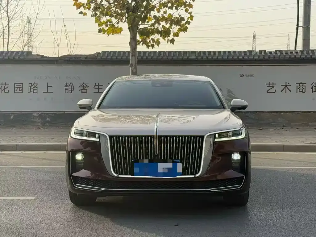 Hongqi H9 — фото 6