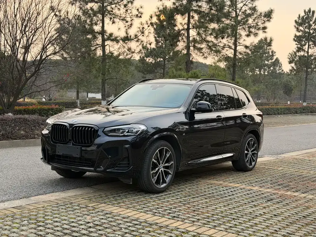 BMW X3 — фото 1