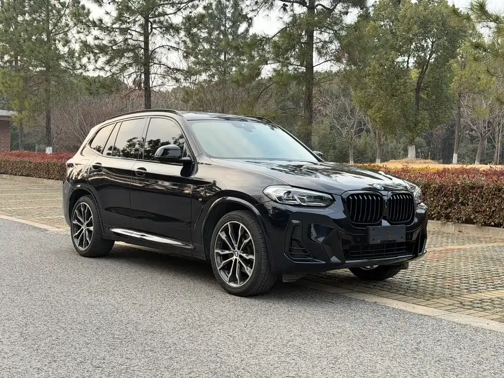 BMW X3 — фото 10