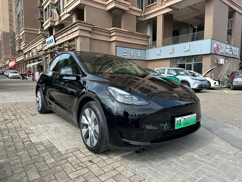 Tesla Model Y — фото 10