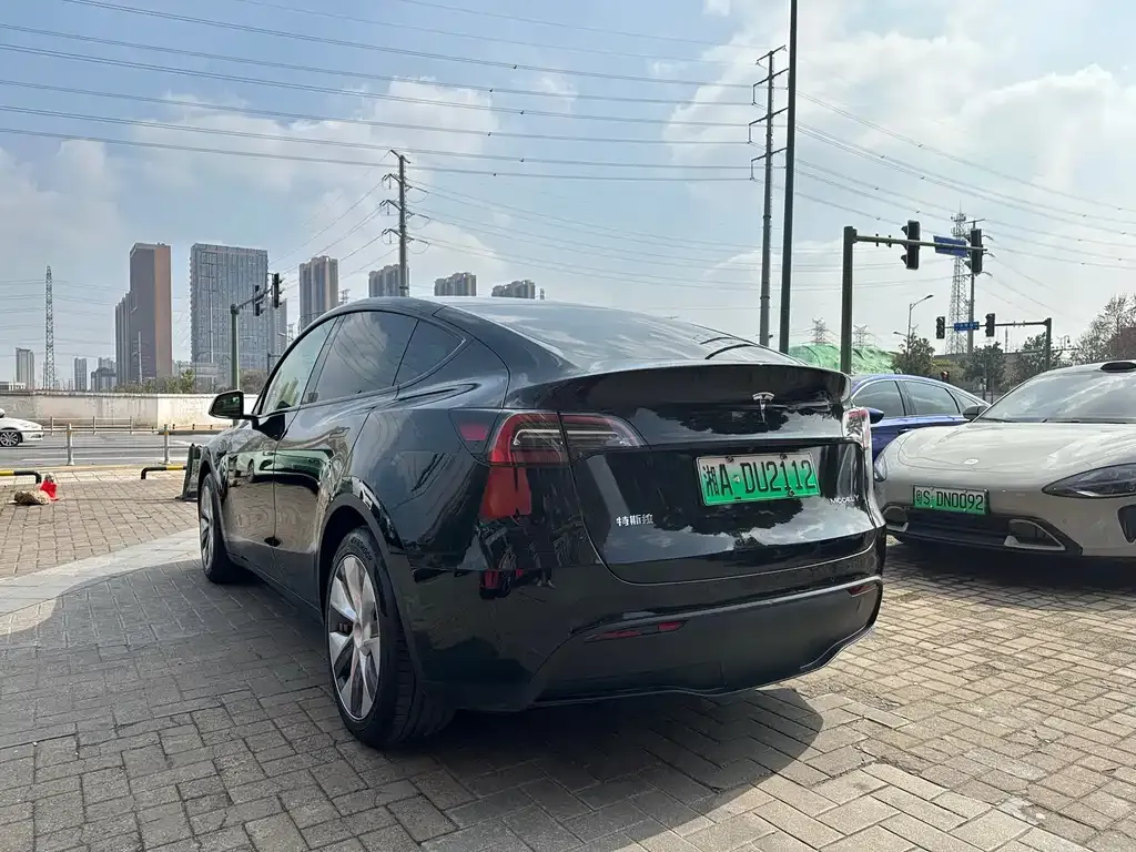 Tesla Model Y — фото 9