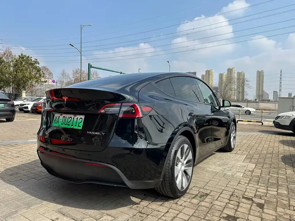 Tesla Model Y — фото 7