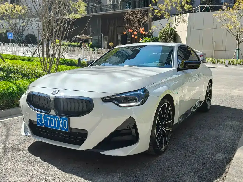 BMW 2 Series (Import) — фото 1