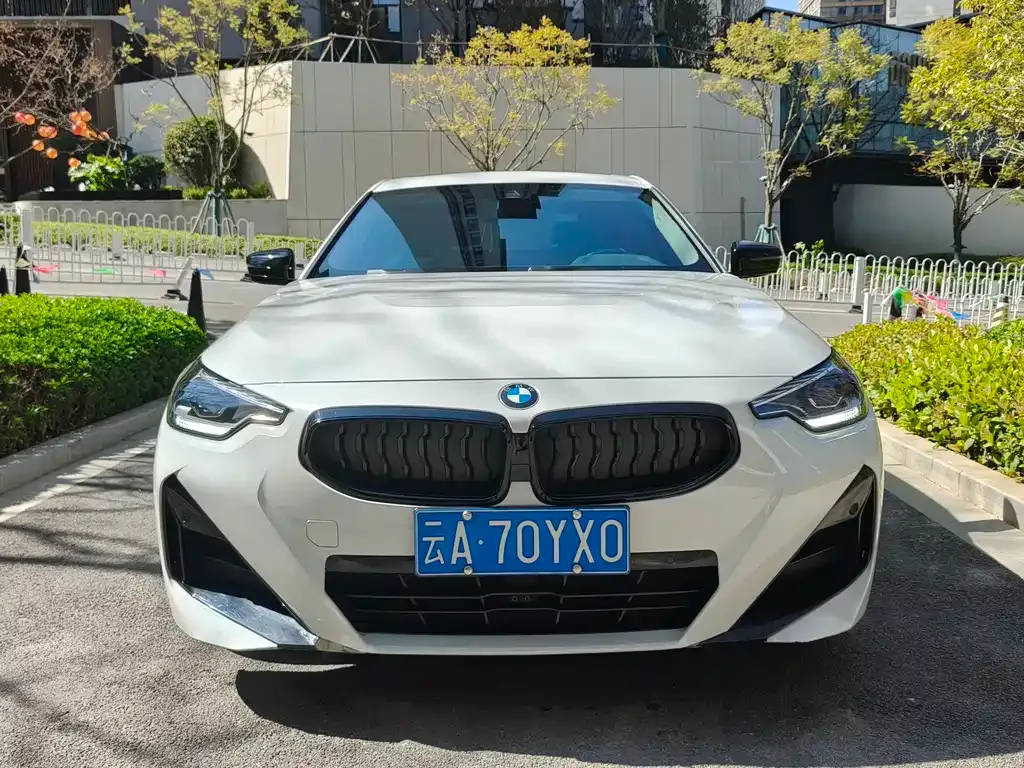 BMW 2 Series (Import) — фото 10