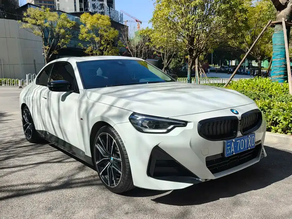 BMW 2 Series (Import) — фото 7