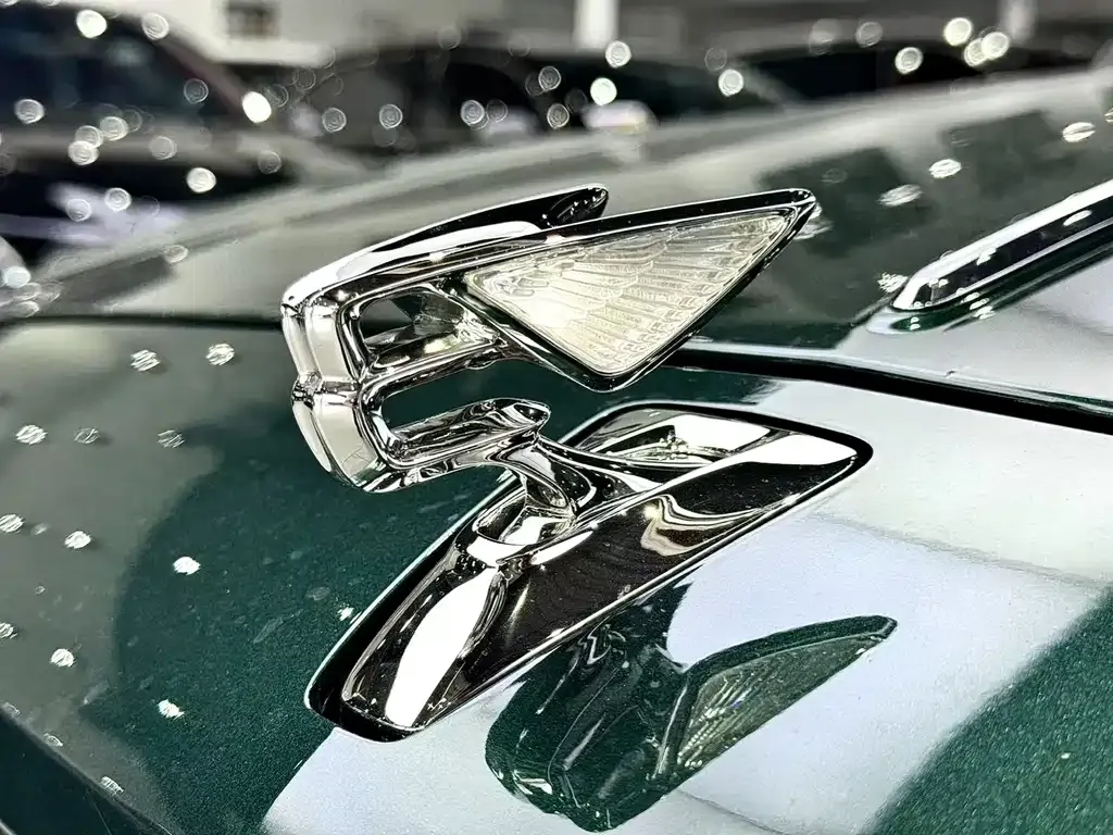 Bentley Flying Spur — фото 5