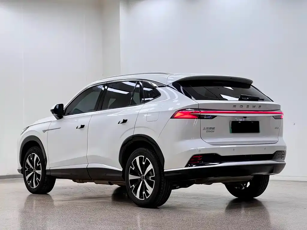 Roewe D5X DMH — фото 9