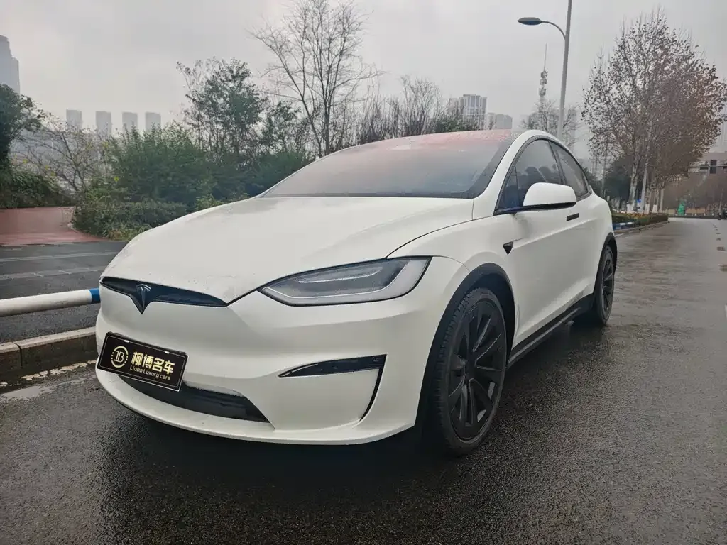 Tesla Model X — фото 1