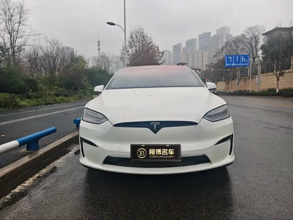Tesla Model X — фото 4