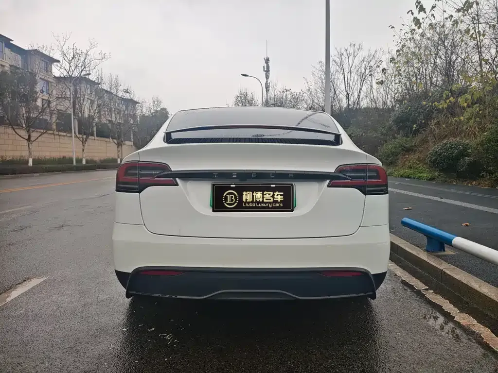 Tesla Model X — фото 7