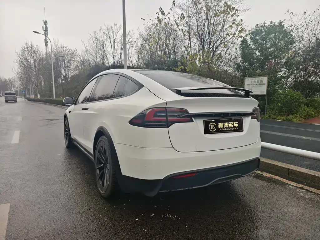Tesla Model X — фото 5