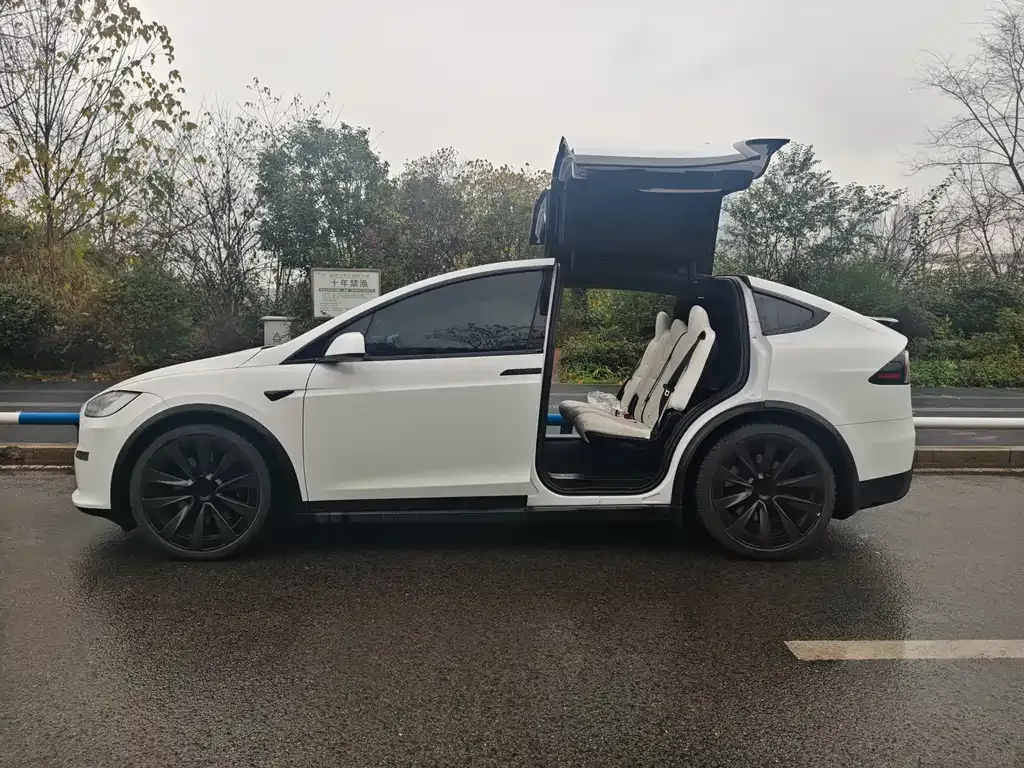 Tesla Model X — фото 10