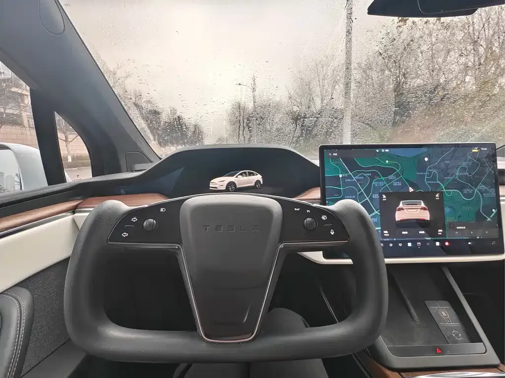 Tesla Model X — фото 9