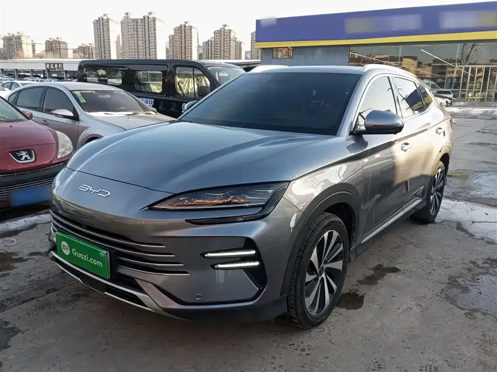 BYD PLUS New Energy — фото 5