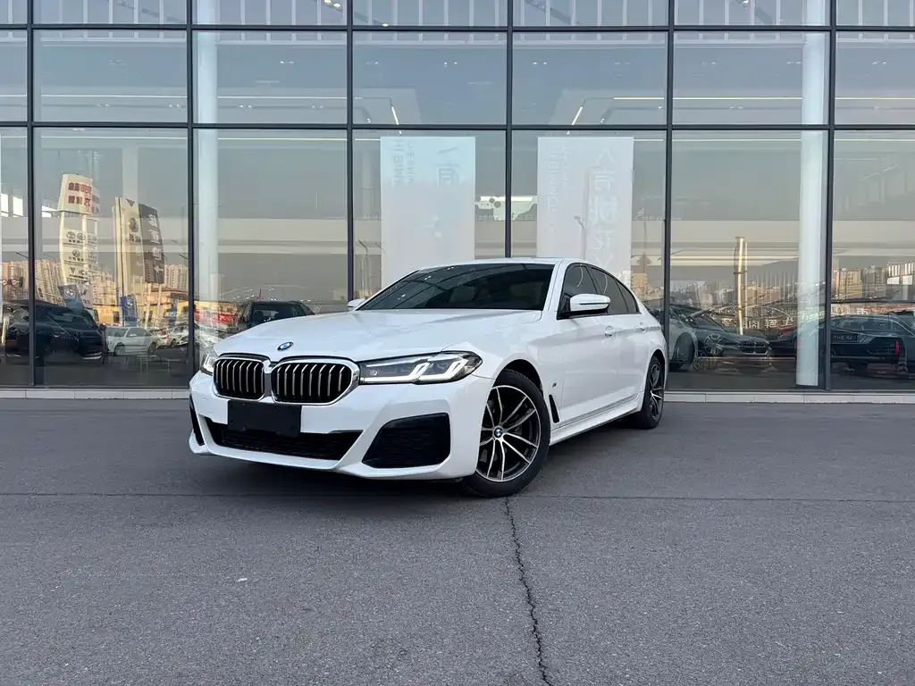 BMW 5 Series (Import) — фото 1