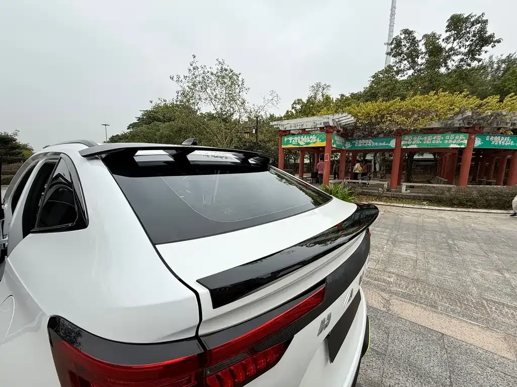 Haval H6S — фото 10