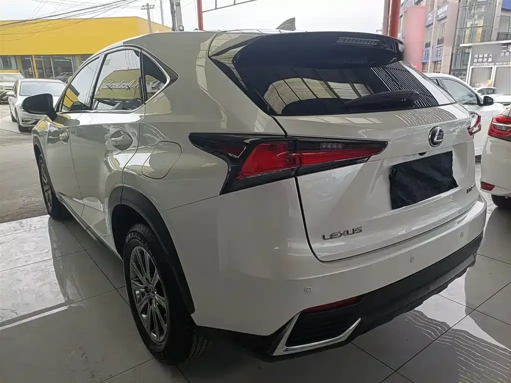 Lexus NX — фото 10