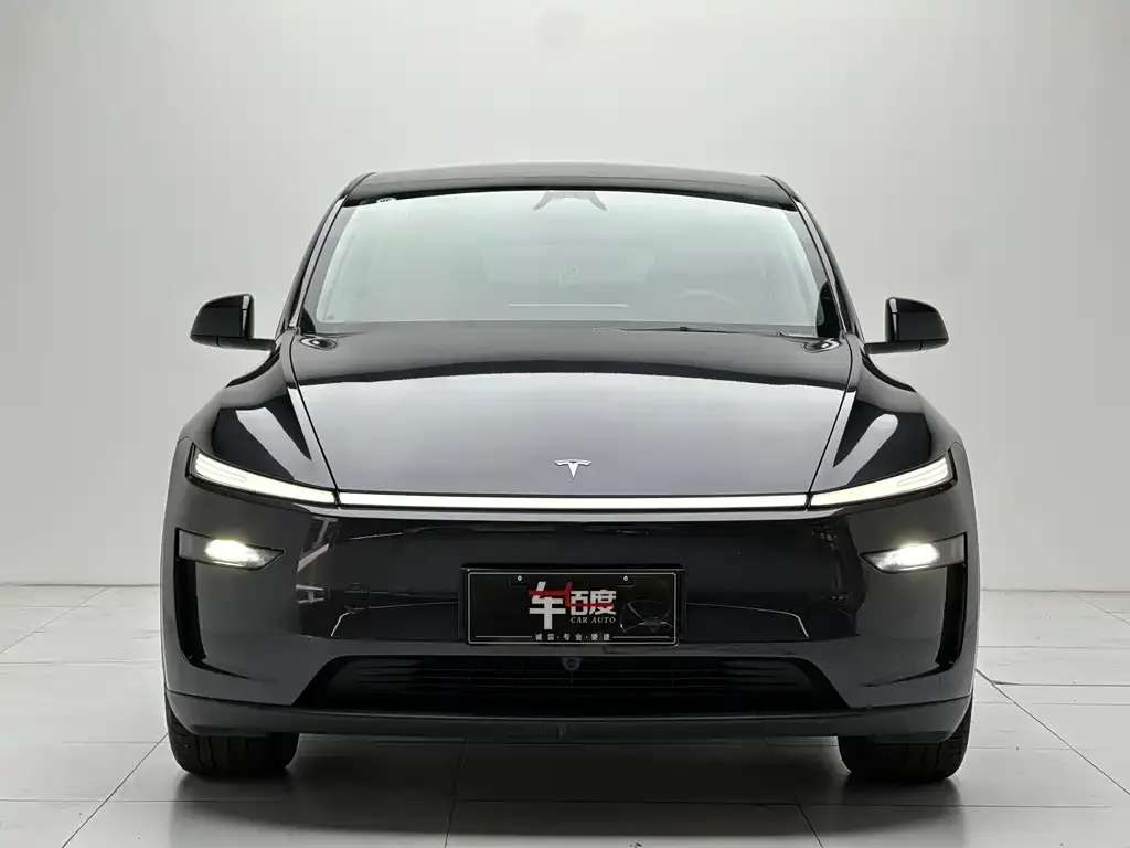Tesla Model Y — фото 5