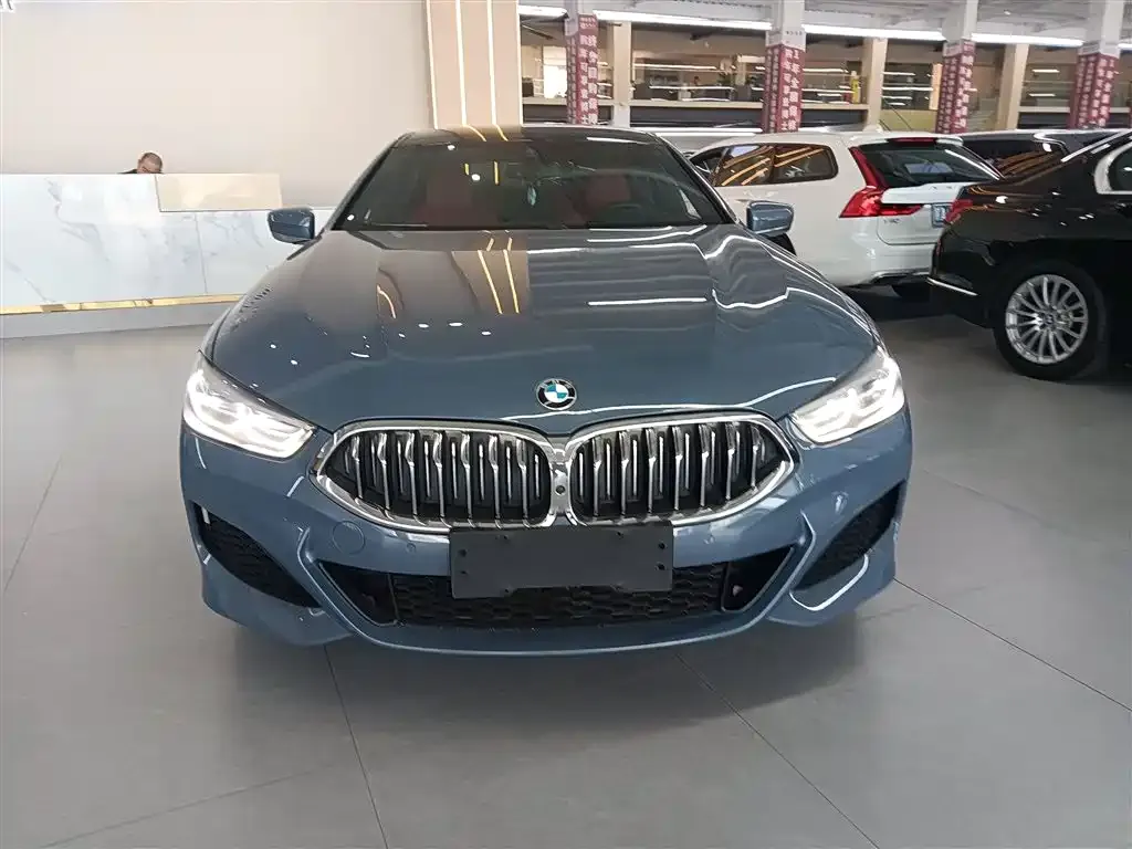 BMW 8 Series — фото 10