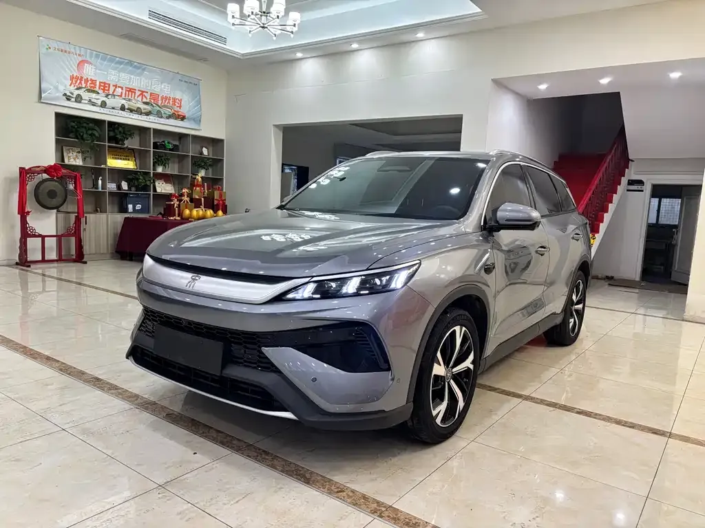 BYD Pro New Energy — фото 1