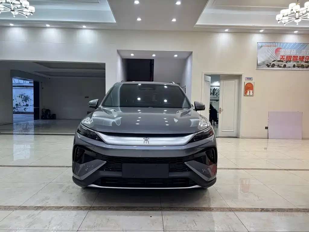 BYD Pro New Energy — фото 6