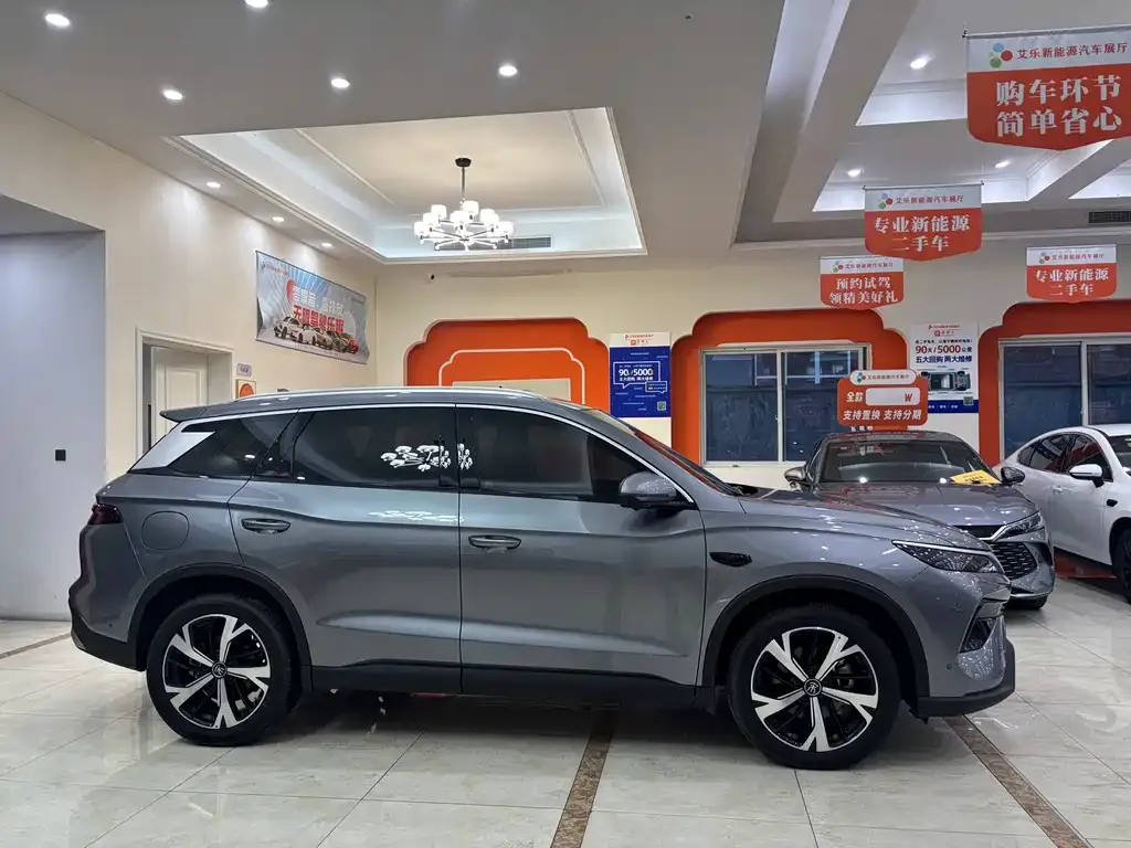 BYD Pro New Energy — фото 10