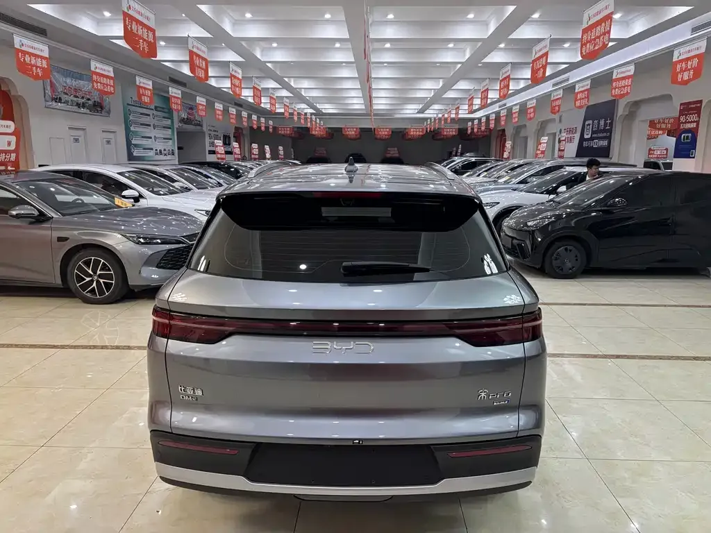 BYD Pro New Energy — фото 9