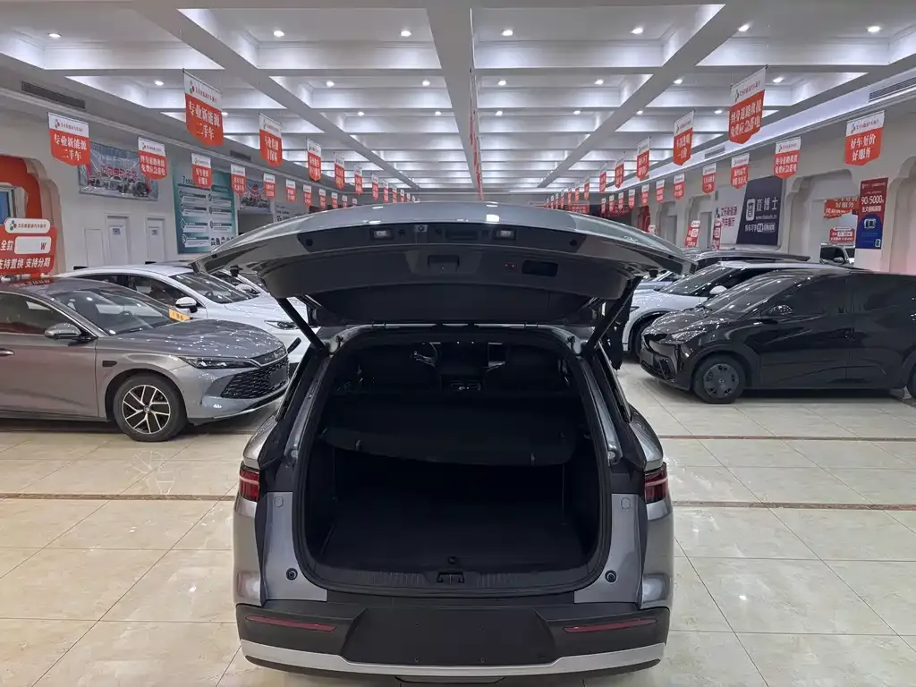 BYD Pro New Energy — фото 5