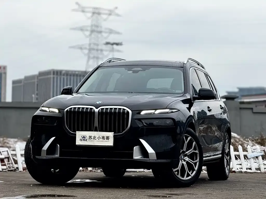 BMW X7 — фото 5