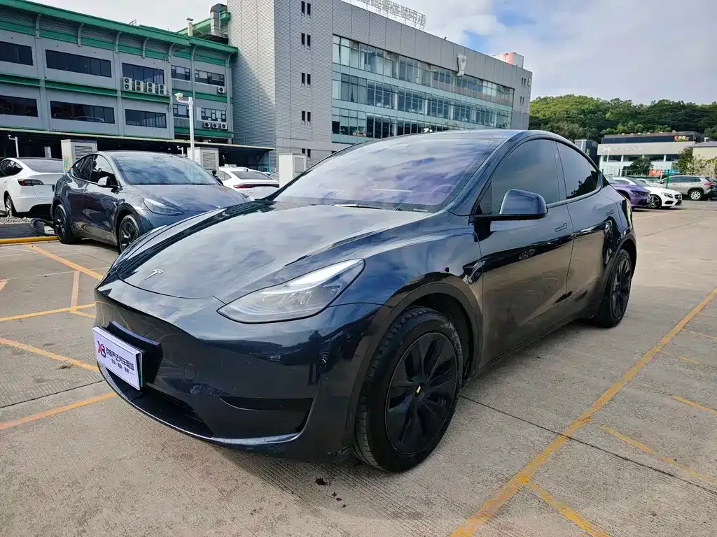 Tesla Model Y — фото 1