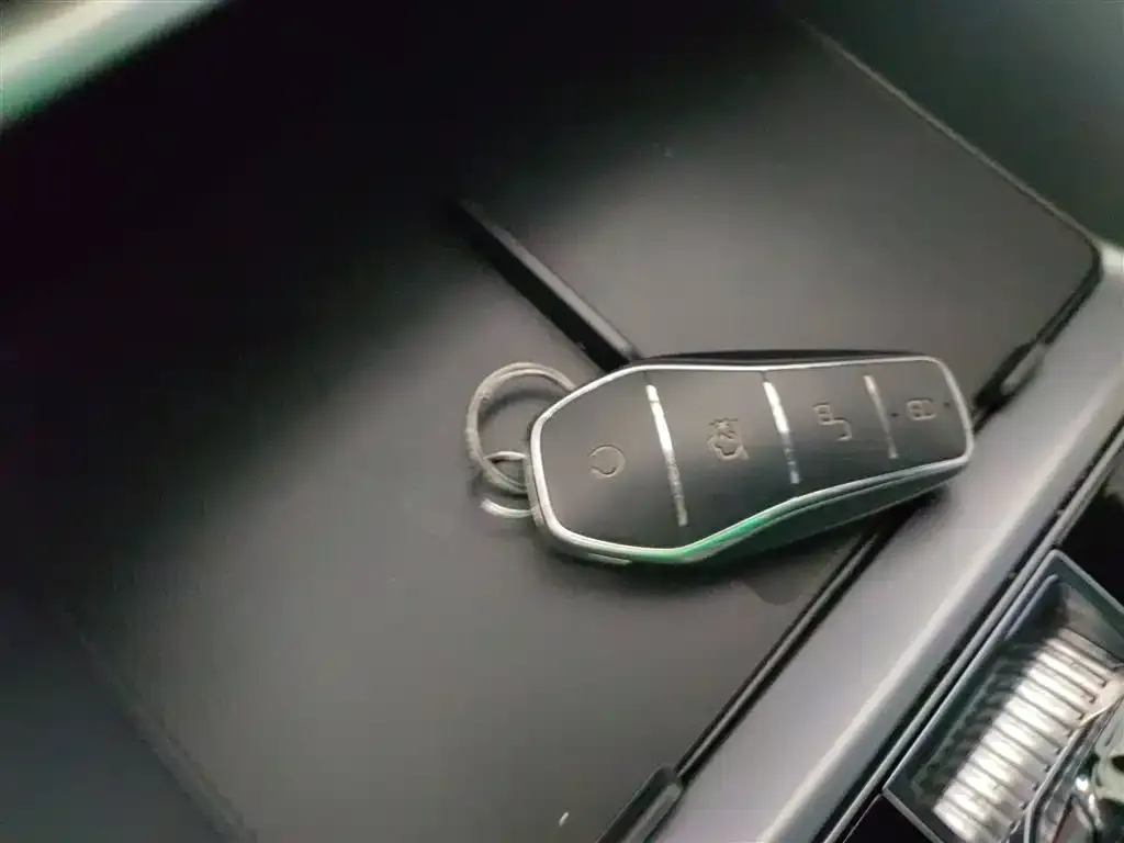 BYD PLUS New Energy — фото 2