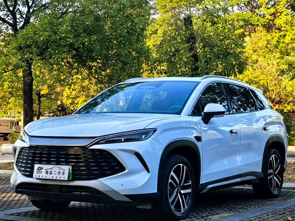 BYD L DM-i — фото 1