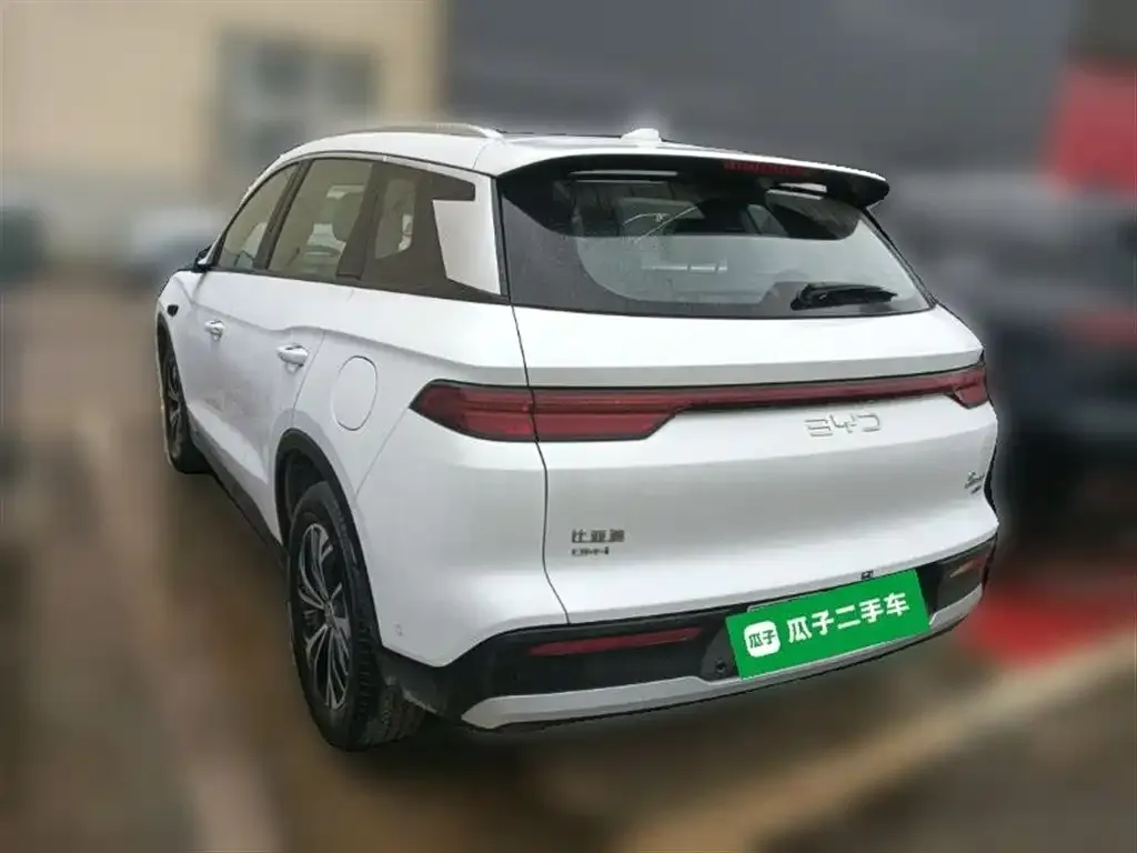 BYD Pro New Energy — фото 3