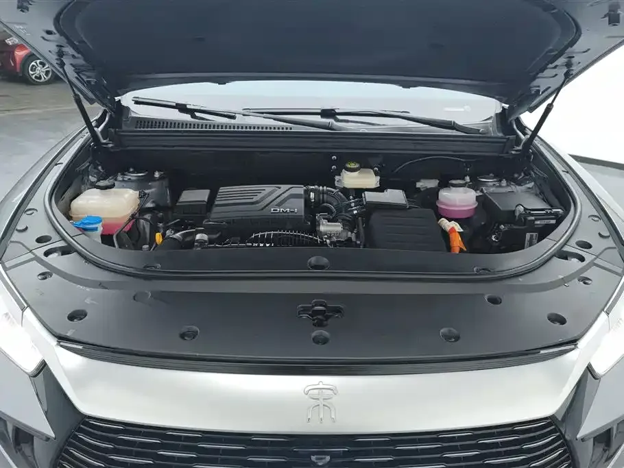 BYD Pro New Energy — фото 4