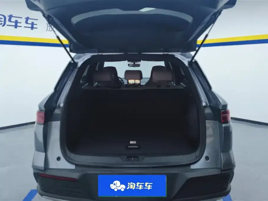 BYD Pro New Energy — фото 2