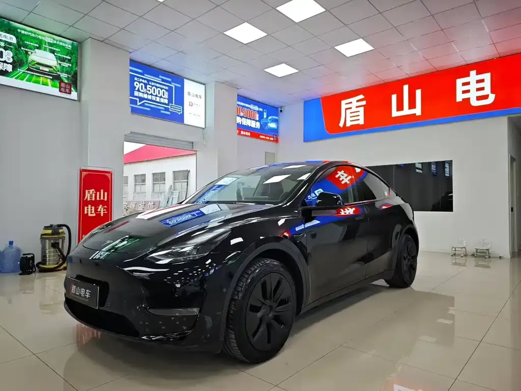 Tesla Model Y — фото 1